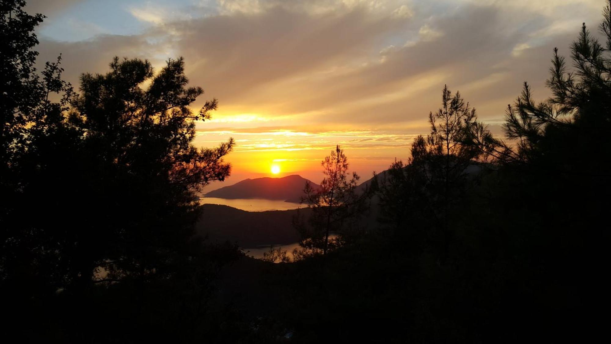 Dolphin Daire Fethiye