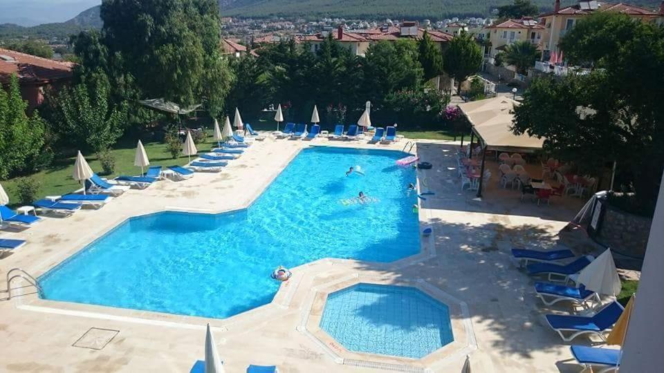 Dolphin Daire Fethiye